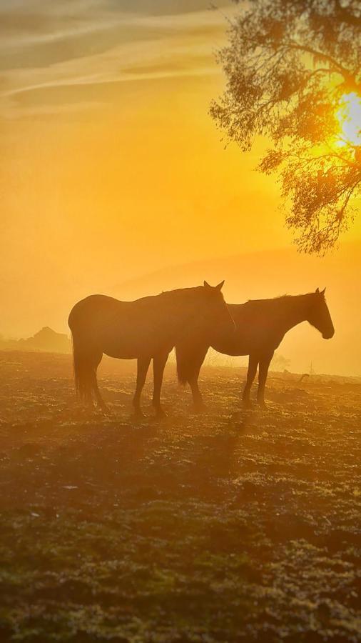Chalet Alpaca - Hidro, Lareira E Privacidade *